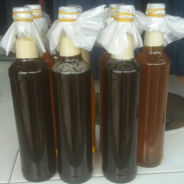 25-uji-daya-hambat-madu-pelawan