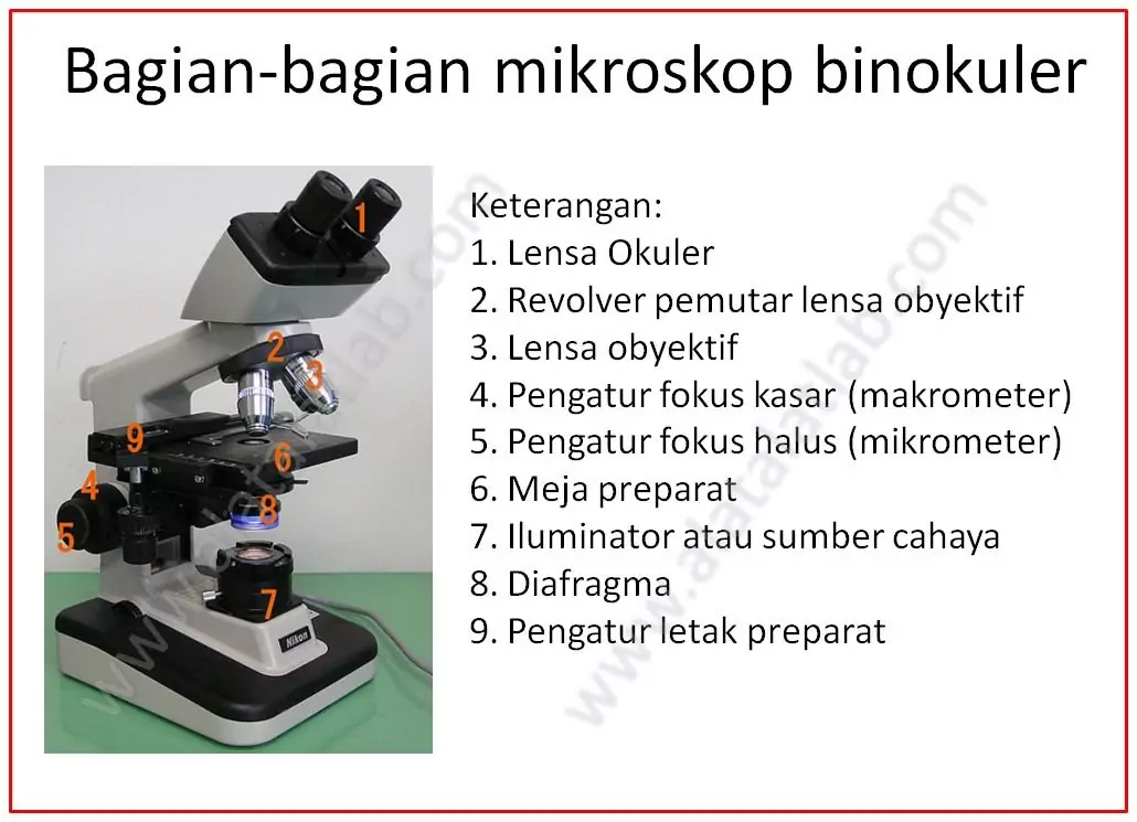 18-bagian-bagian-mikroskop-listrik