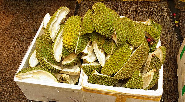 26-pemanfaatan-limbah-kulit-durian